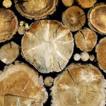 какими свойствами обладает древесина