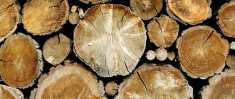 какими свойствами обладает древесина