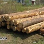 Timber for felling