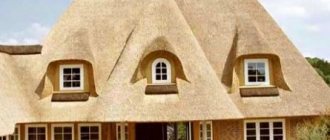 straw house project