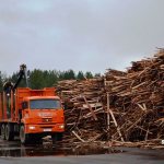 Зачем утилизировать древесные отходы
